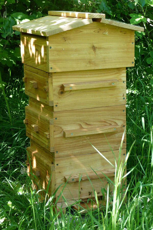 Untitled Untitled